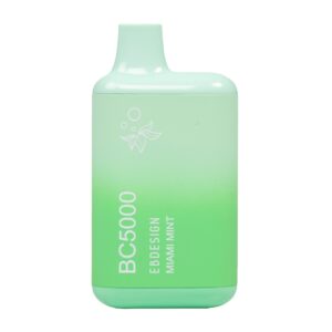 ELF BAR BC5000 Disposable Miami Mint 5000 bocanadas