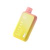 ELF BAR BC10000 Disposable 10000 bocanadas Peach Mango 18ml