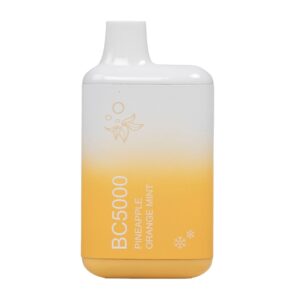ELF BAR BC5000 Disposable Pineapple Orange Mint 5000 bocanadas 13ml